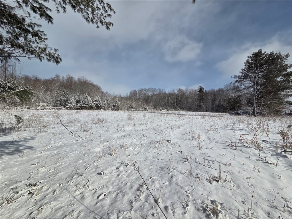 10720 Duck Lake Road Conquest, NY 13140 - Photo 6 of 29