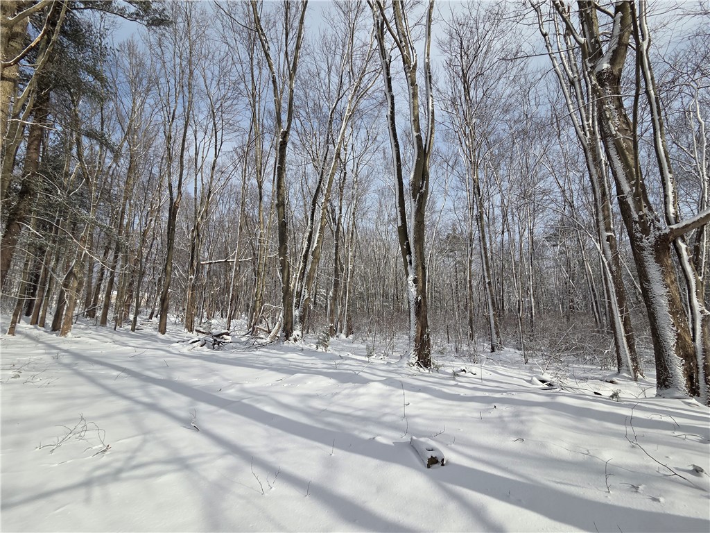 10720 Duck Lake Road Conquest, NY 13140 - Photo 8 of 29