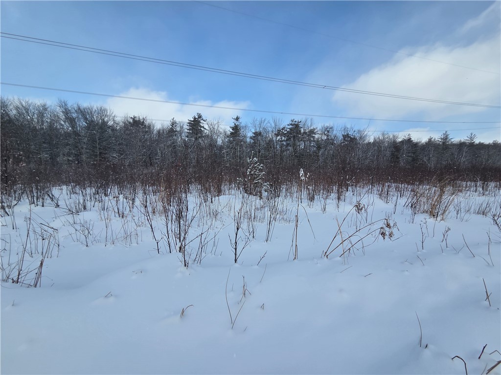 10720 Duck Lake Road Conquest, NY 13140 - Photo 9 of 29