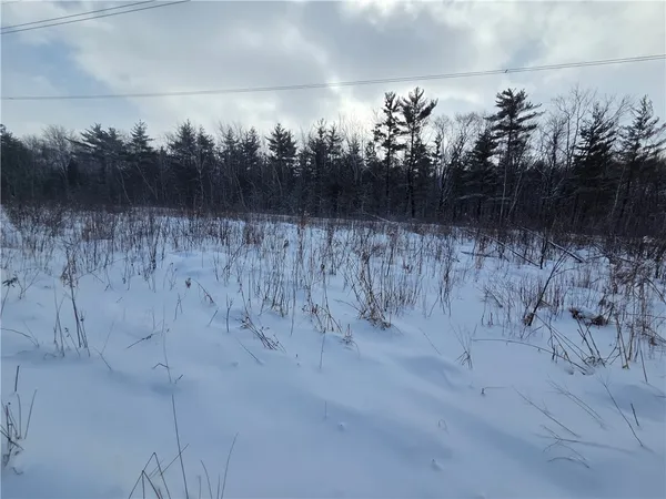 $65,000 | 10720 Duck Lake Road, Conquest, NY 13140