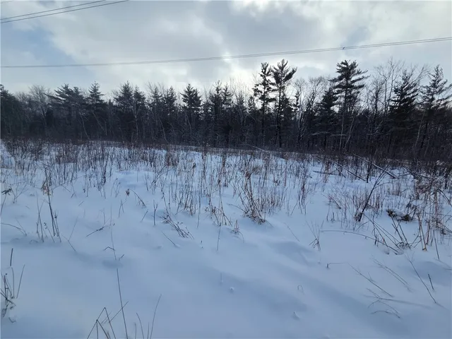 $65,000 | 10720 Duck Lake Road, Conquest, NY 13140