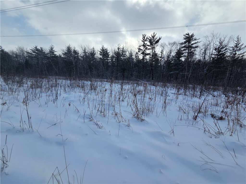 10720 Duck Lake Road Conquest, NY 13140 - Photo 10 of 29