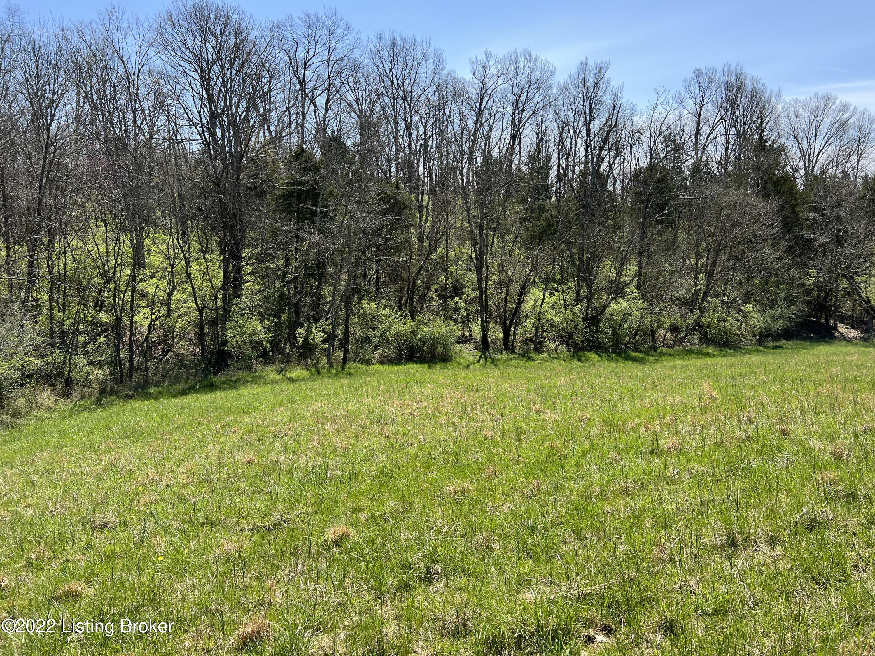 951 Hickory Ridge Road Waddy, KY 40076 - Photo 54 of 61 IMG_7715