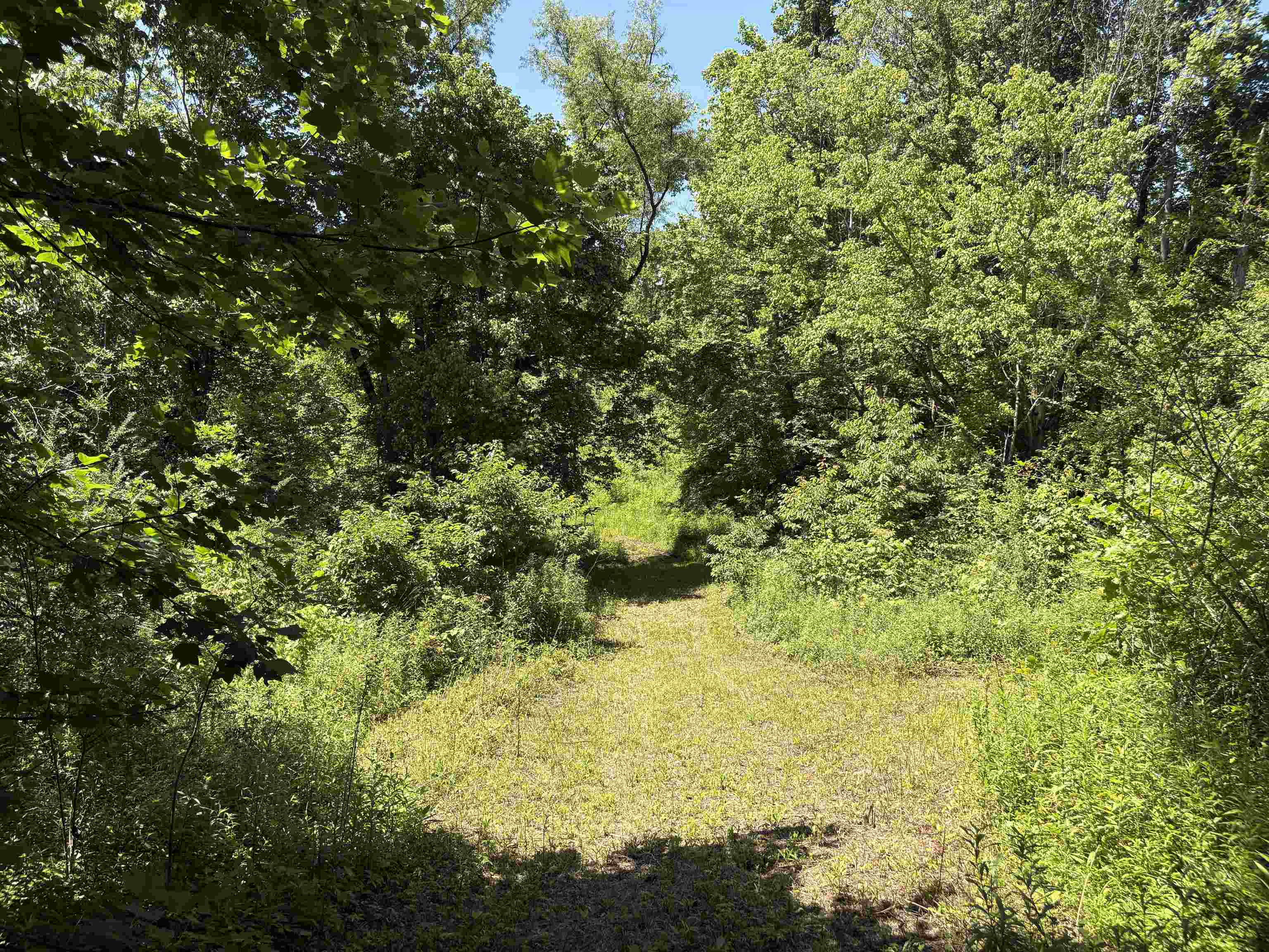 0 Walsh Road, Unit LOT 1 Millington, TN 38053 - Photo 5 of 8
