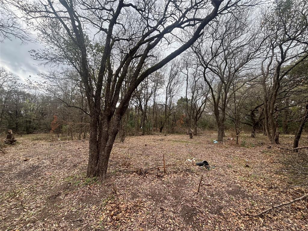 0 Virginia Waco, TX 76705 - Photo 1 of 12 a view of dirt yard with a tree