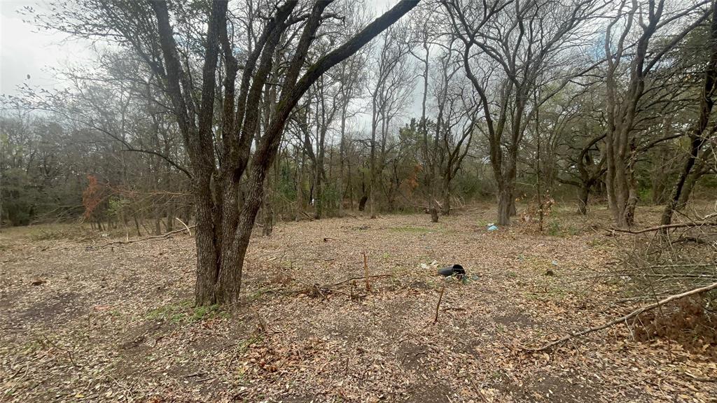 0 Virginia Waco, TX 76705 - Photo 11 of 12 a view of a yard with a tree