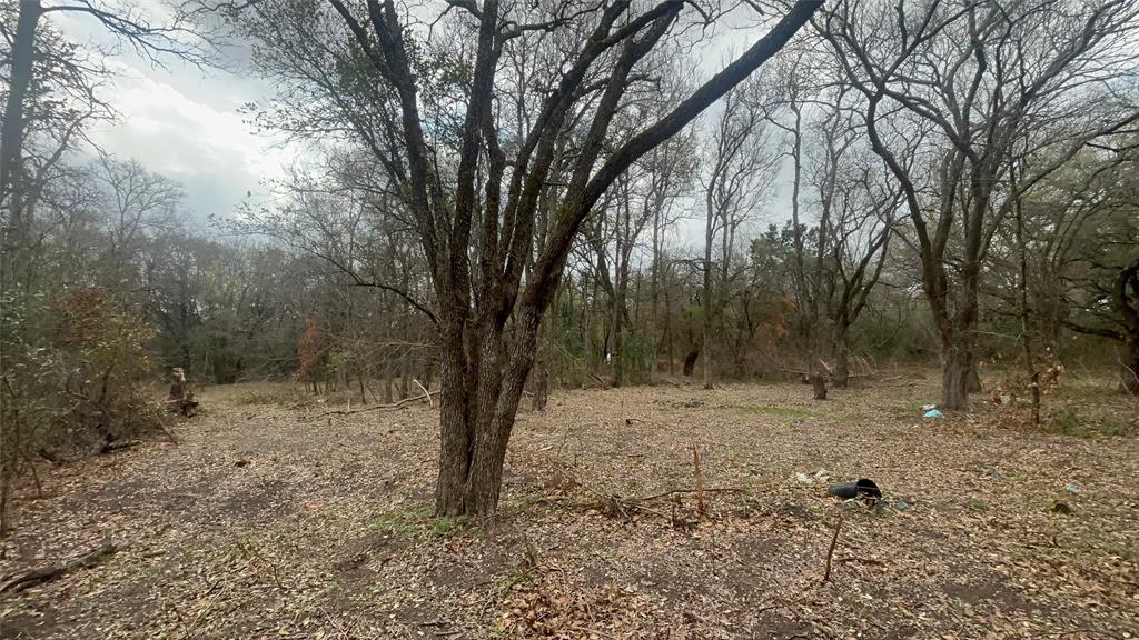 0 Virginia Waco, TX 76705 - Photo 12 of 12 a view of a forest with trees in the background