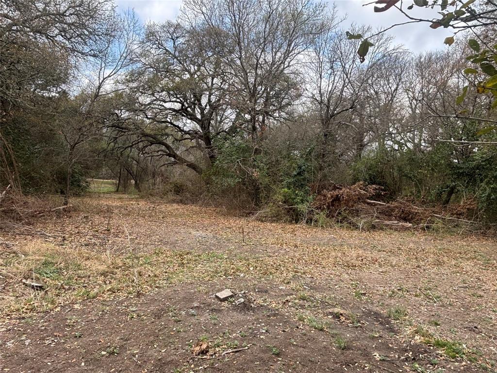 0 Virginia Waco, TX 76705 - Photo 2 of 12 a backyard of a house with a large tree