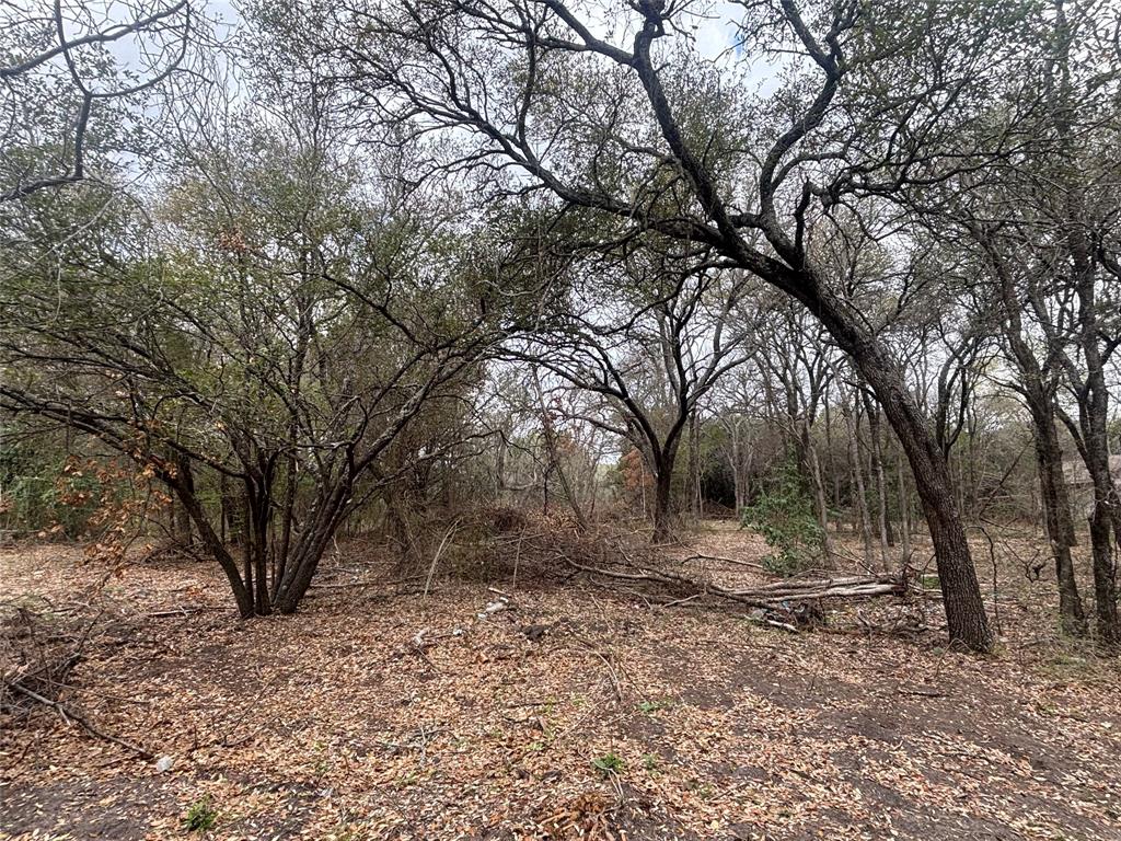 0 Virginia Waco, TX 76705 - Photo 3 of 12 a backyard of a house with lots of green space