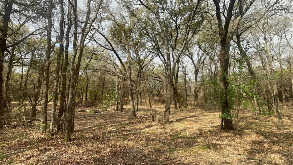0 Virginia Waco, TX 76705 - Photo 5 of 12 a view of yard with trees