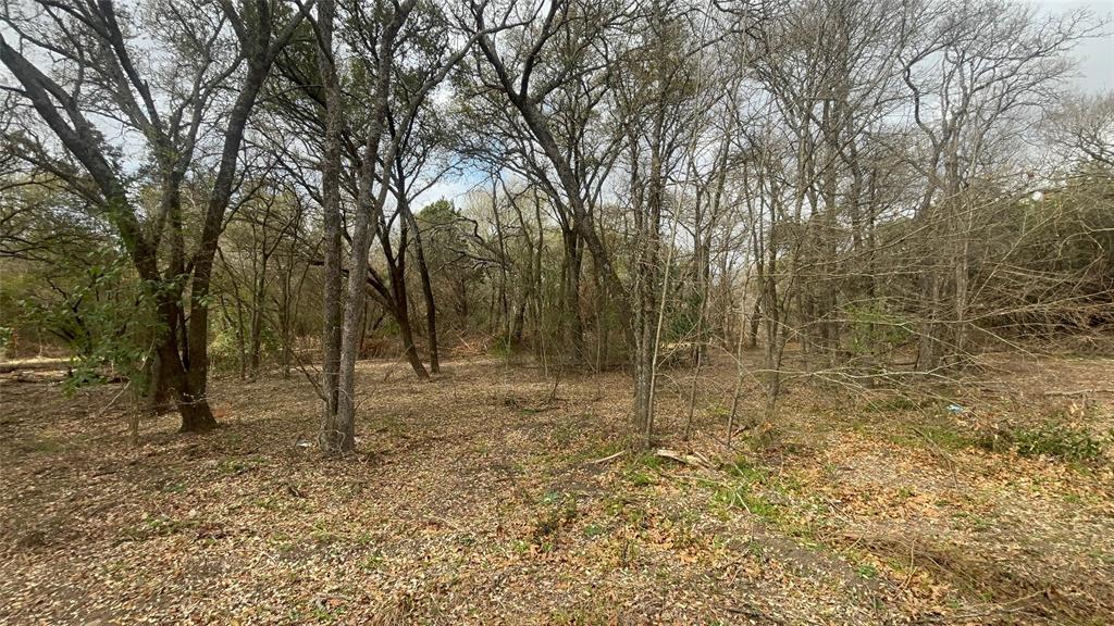 0 Virginia Waco, TX 76705 - Photo 6 of 12 a view of a forest with trees in the background