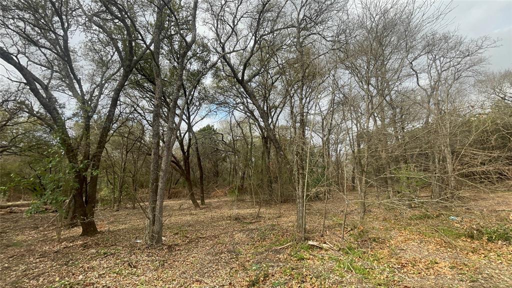 0 Virginia Waco, TX 76705 - Photo 7 of 12 a view of a forest