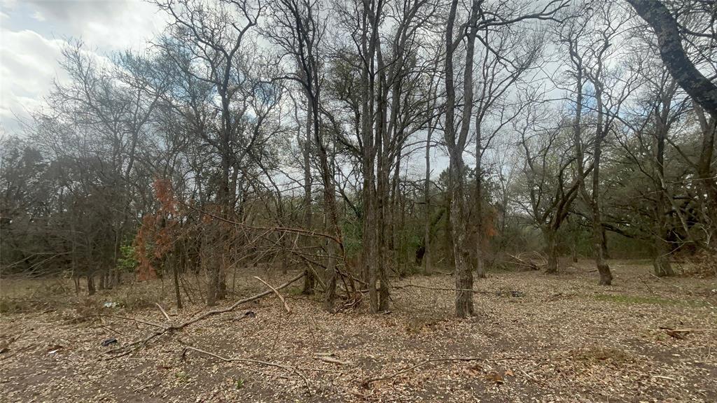 0 Virginia Waco, TX 76705 - Photo 8 of 12 a view of a forest with trees in the background