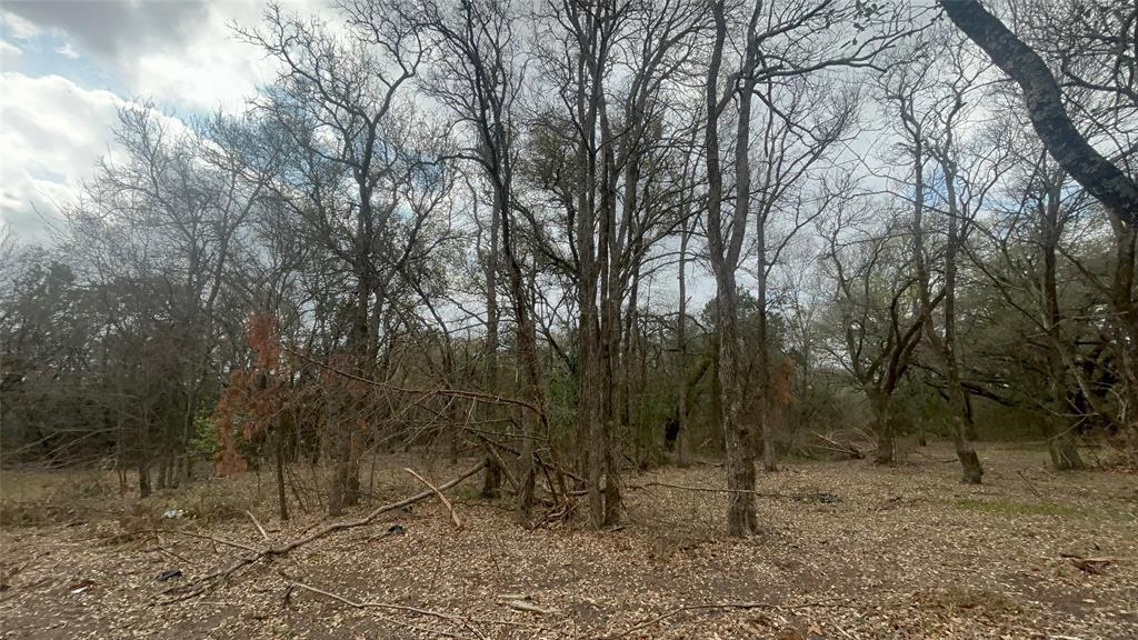 0 Virginia Waco, TX 76705 - Photo 9 of 12 a view of a forest with trees in the background