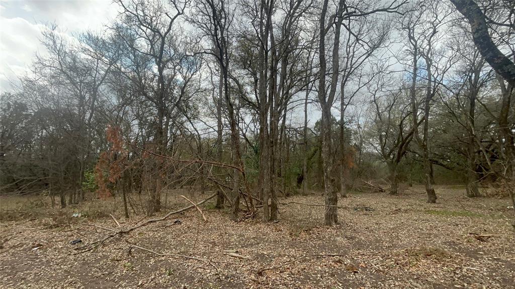 0 Virginia Waco, TX 76705 - Photo 10 of 12 a view of a forest with trees in the background