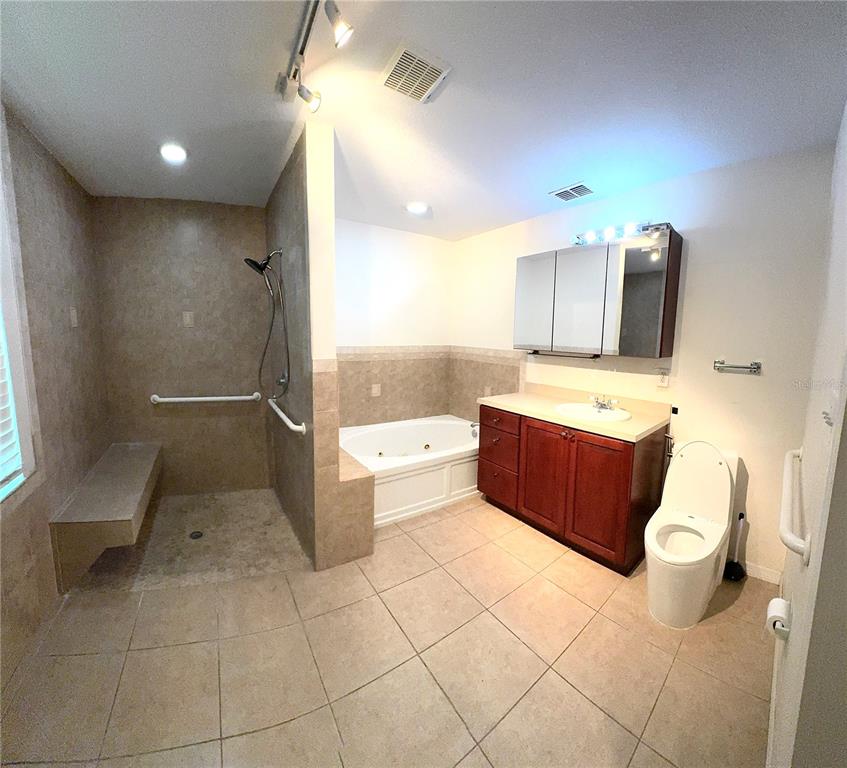 3419 Pearson Road Valrico, FL 33596 - Photo 16 of 20 a bathroom with a sink a toilet and mirror