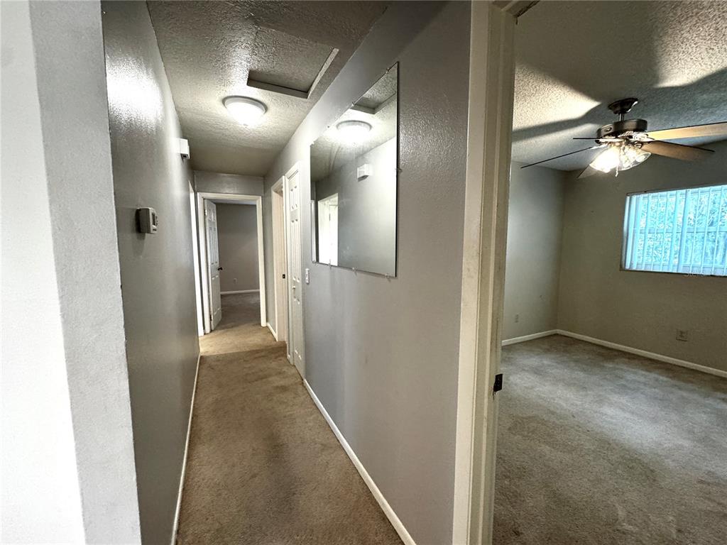 3419 Pearson Road Valrico, FL 33596 - Photo 8 of 20