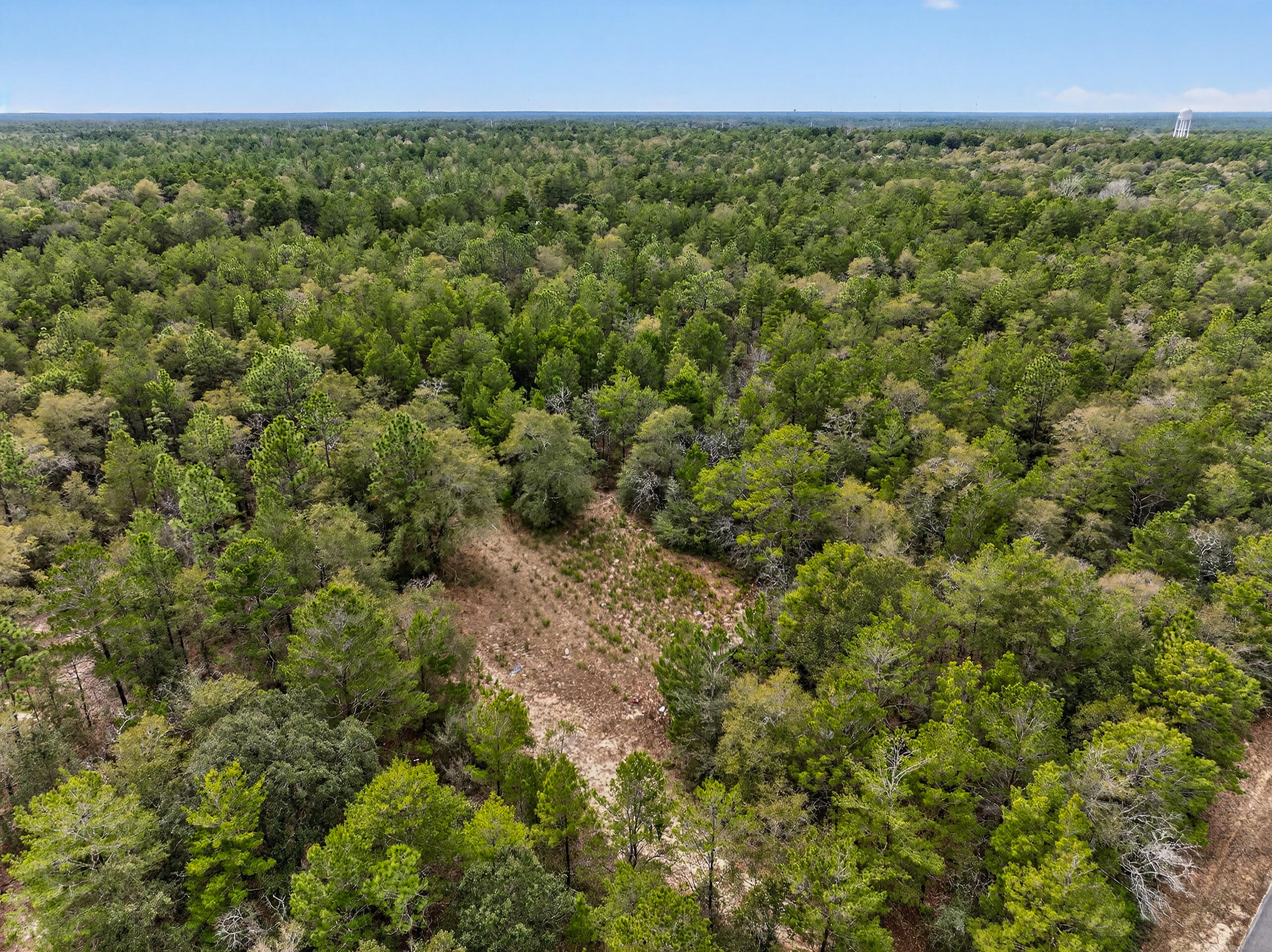 610 Spring Hill Road DeFuniak Springs, FL 32433 - Photo 16 of 20 a view of a green field with lots of bushes