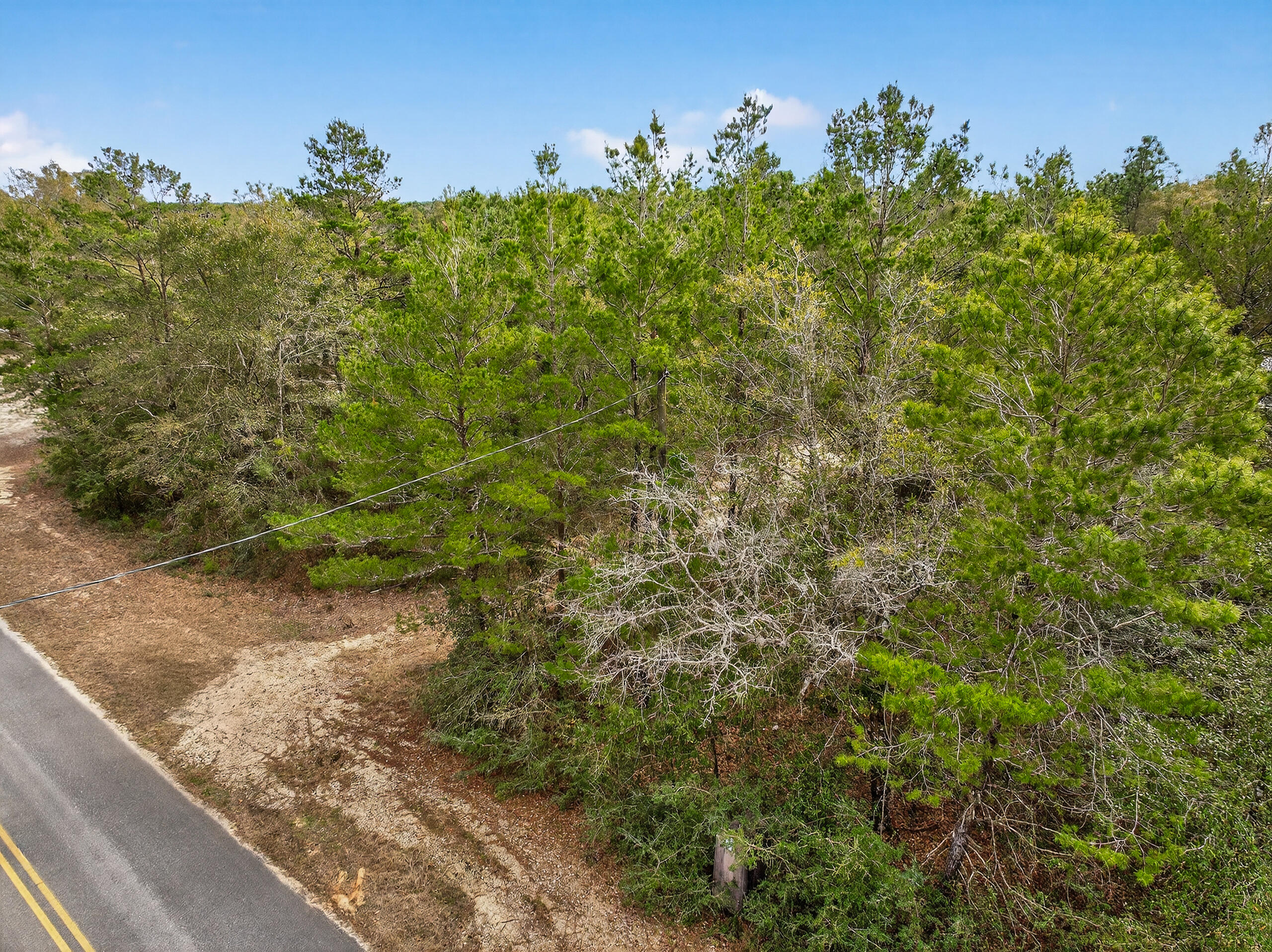 610 Spring Hill Road DeFuniak Springs, FL 32433 - Photo 2 of 20 a view of a big yard with lots of green space