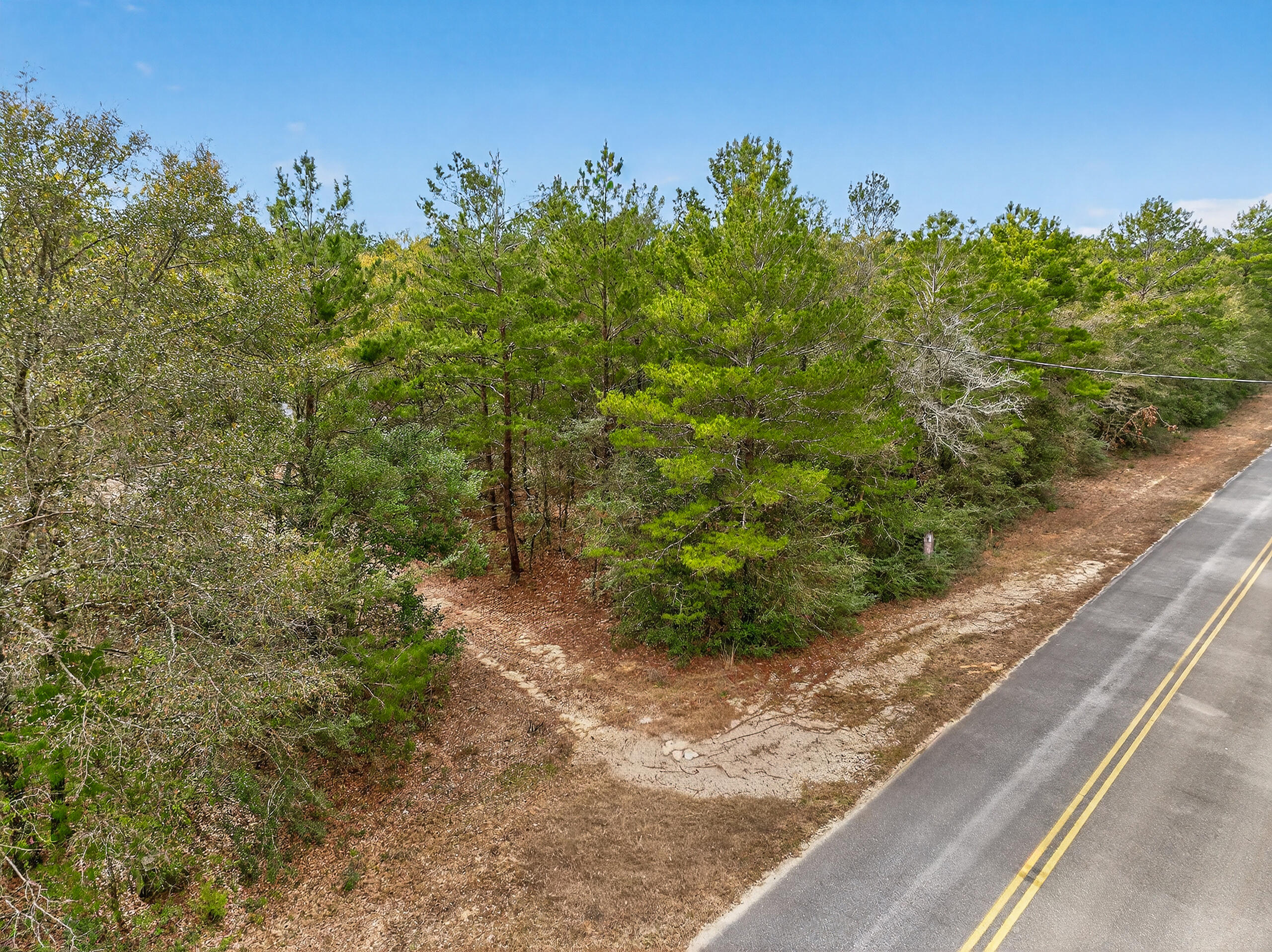 610 Spring Hill Road DeFuniak Springs, FL 32433 - Photo 3 of 20 a view of a garden with trees