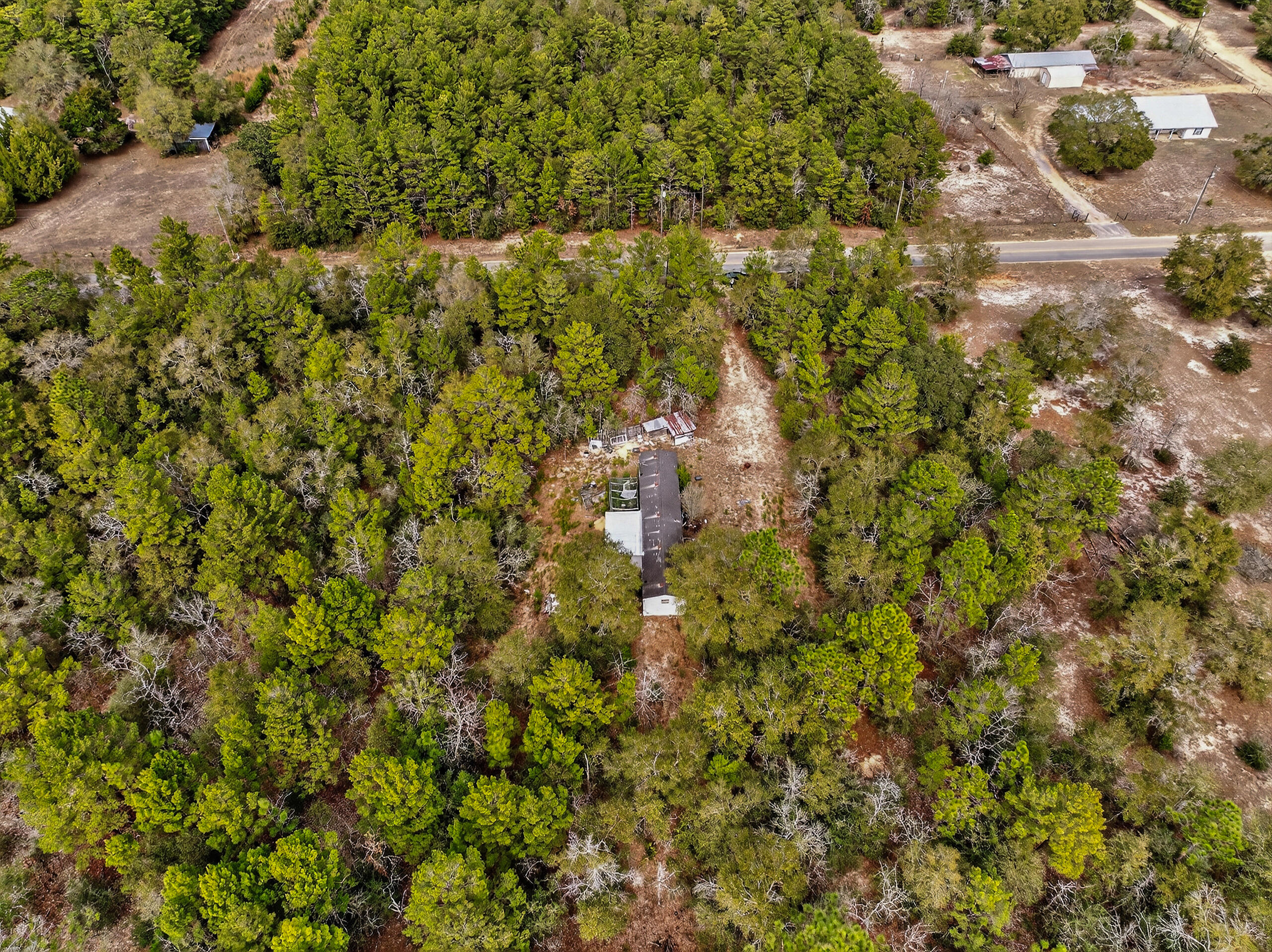 610 Spring Hill Road DeFuniak Springs, FL 32433 - Photo 5 of 20 a view of a tree with a yard