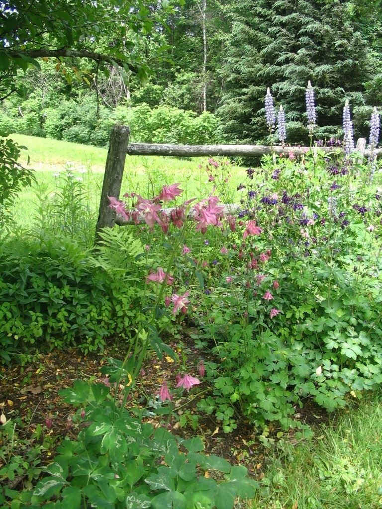33 E Road Greenfield, NH 03047 - Photo 38 of 38