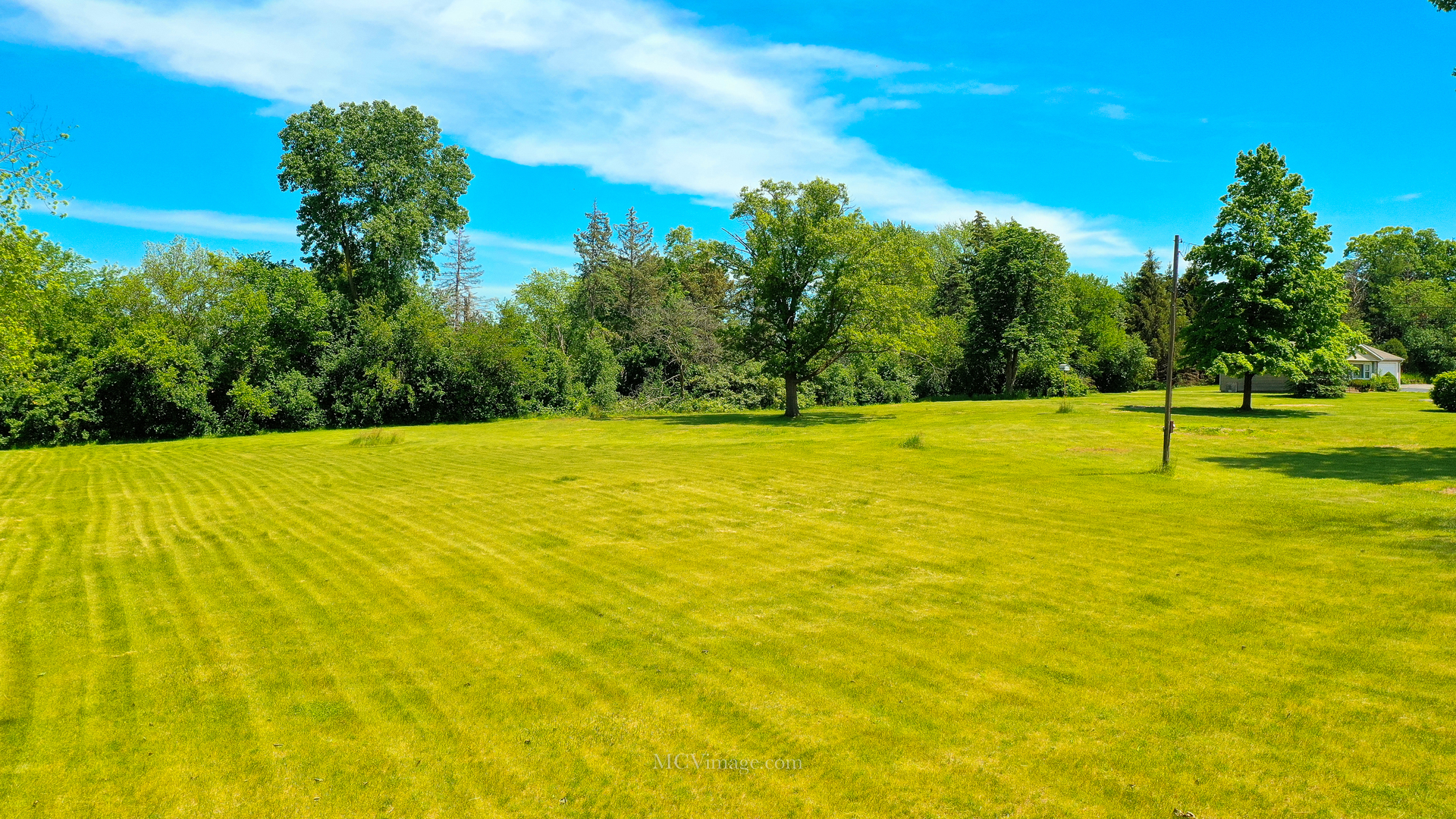 11421 Bell Road Lemont, IL 60439 - Photo 10 of 15