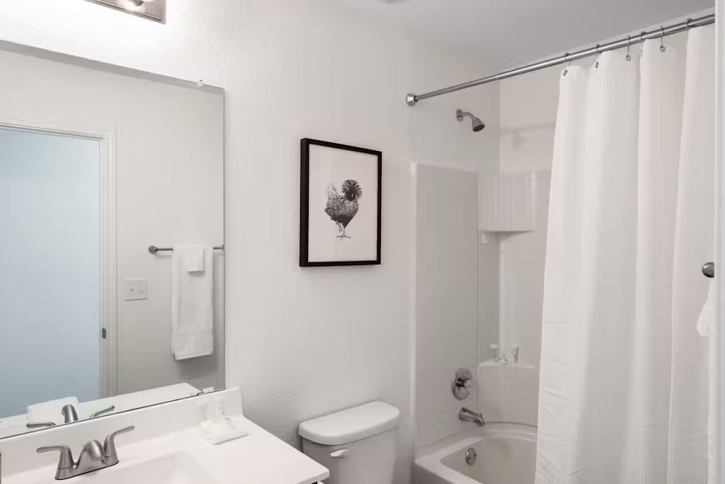 3609 Batson Drive Austin, TX 78725 - Photo 17 of 33 Bathroom featuring shower / bath combo and vanity