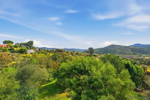 $1,550,000 | 3132 Don Rolando, Escondido, CA 92025