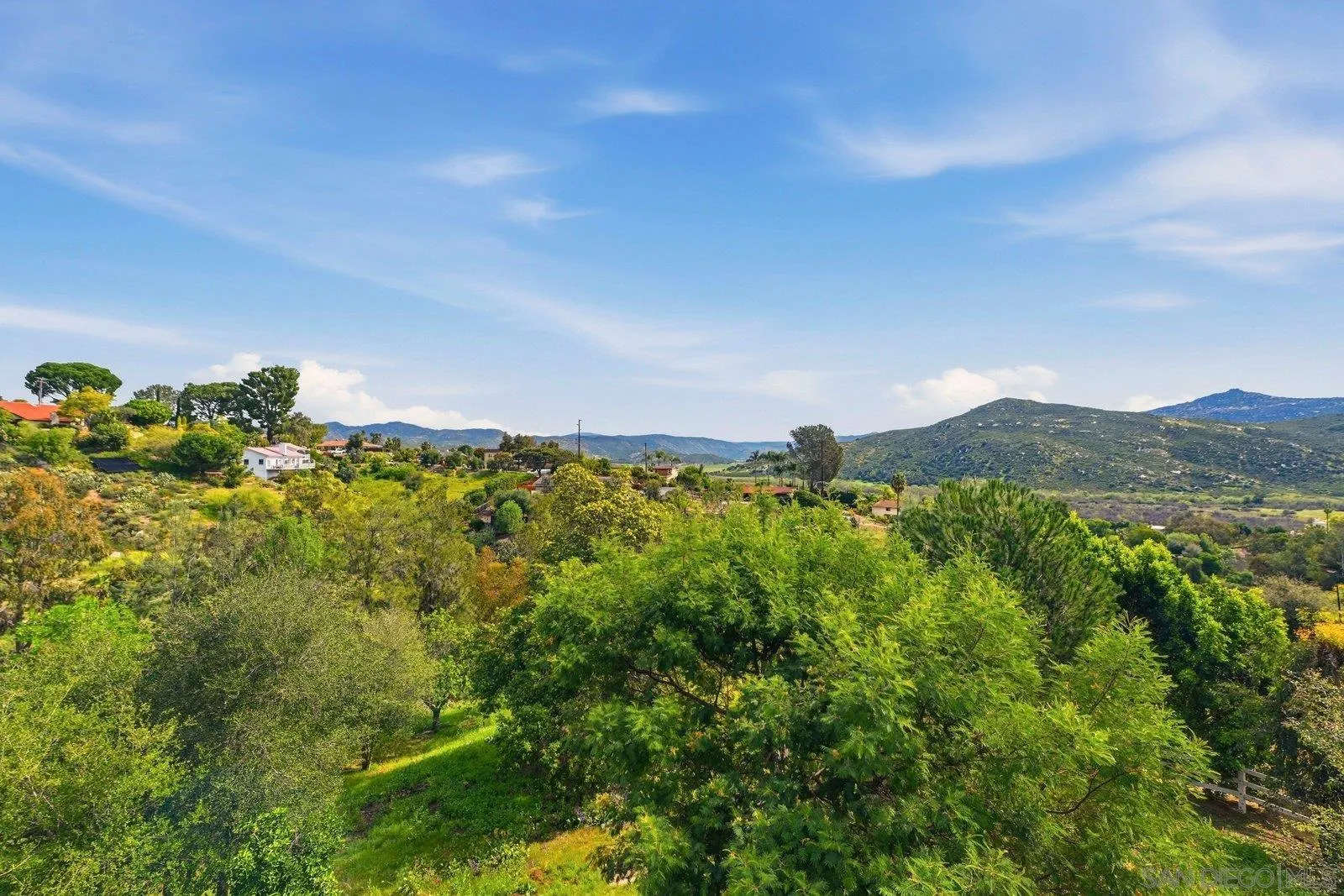 3132 Don Rolando Escondido, CA 92025 - Photo 37 of 56 a view of a bunch of trees and bushes