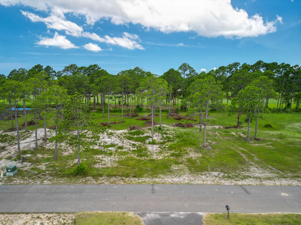 Lot 14 Cape Plantation Road Port St. Joe, FL 32456 - Photo 5 of 7