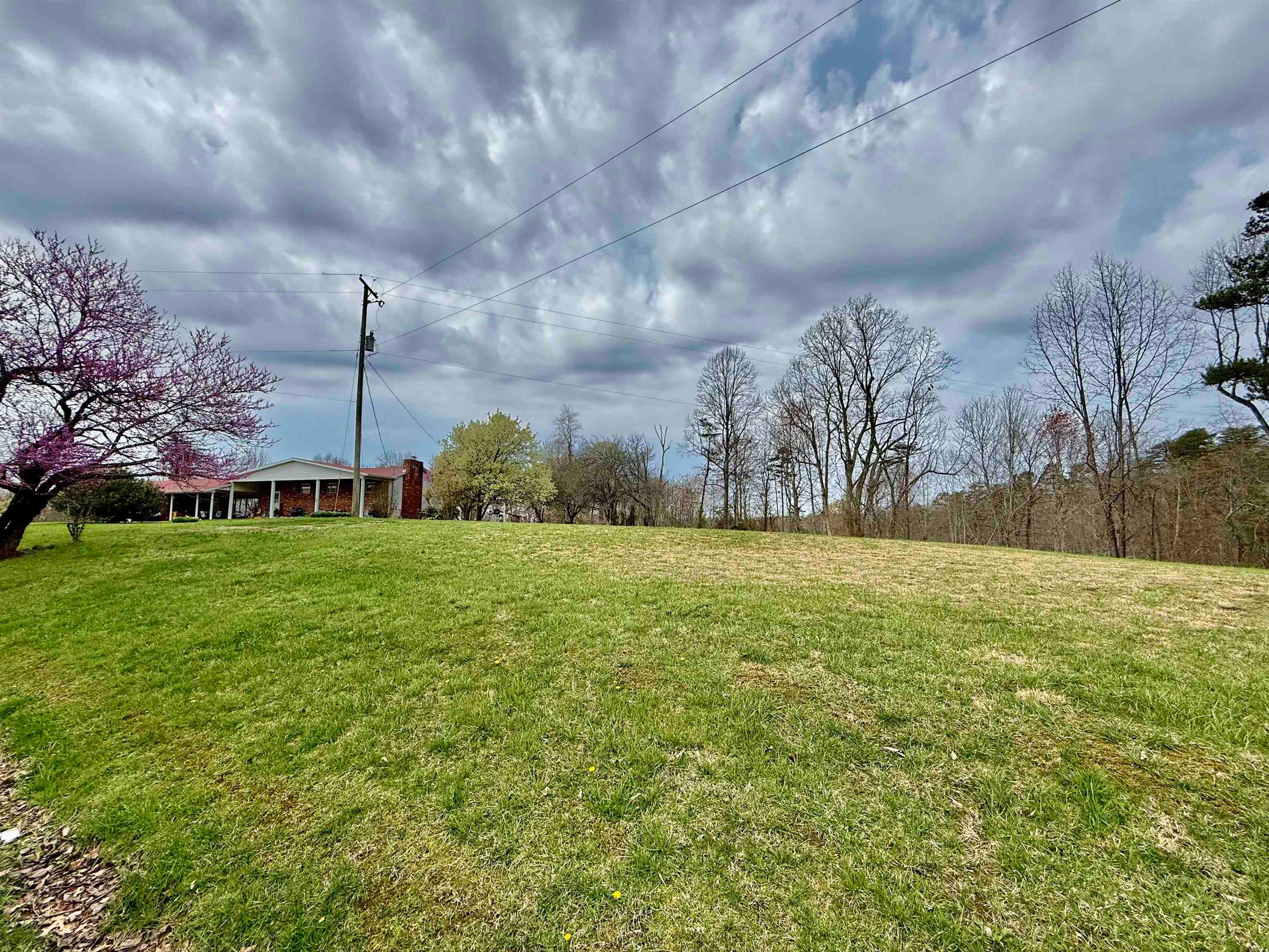 1755 Tombleson Run Road Letart, WV 25253 - Photo 3 of 27 Gallery Image 3