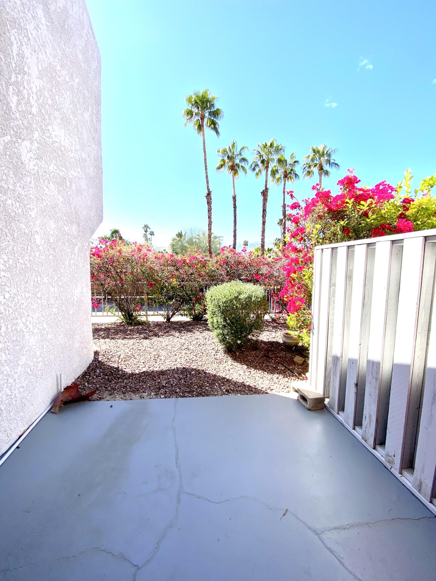 3155 Ramon Road, Unit 309 Palm Springs, CA 92264 - Photo 25 of 43 IMG_3553