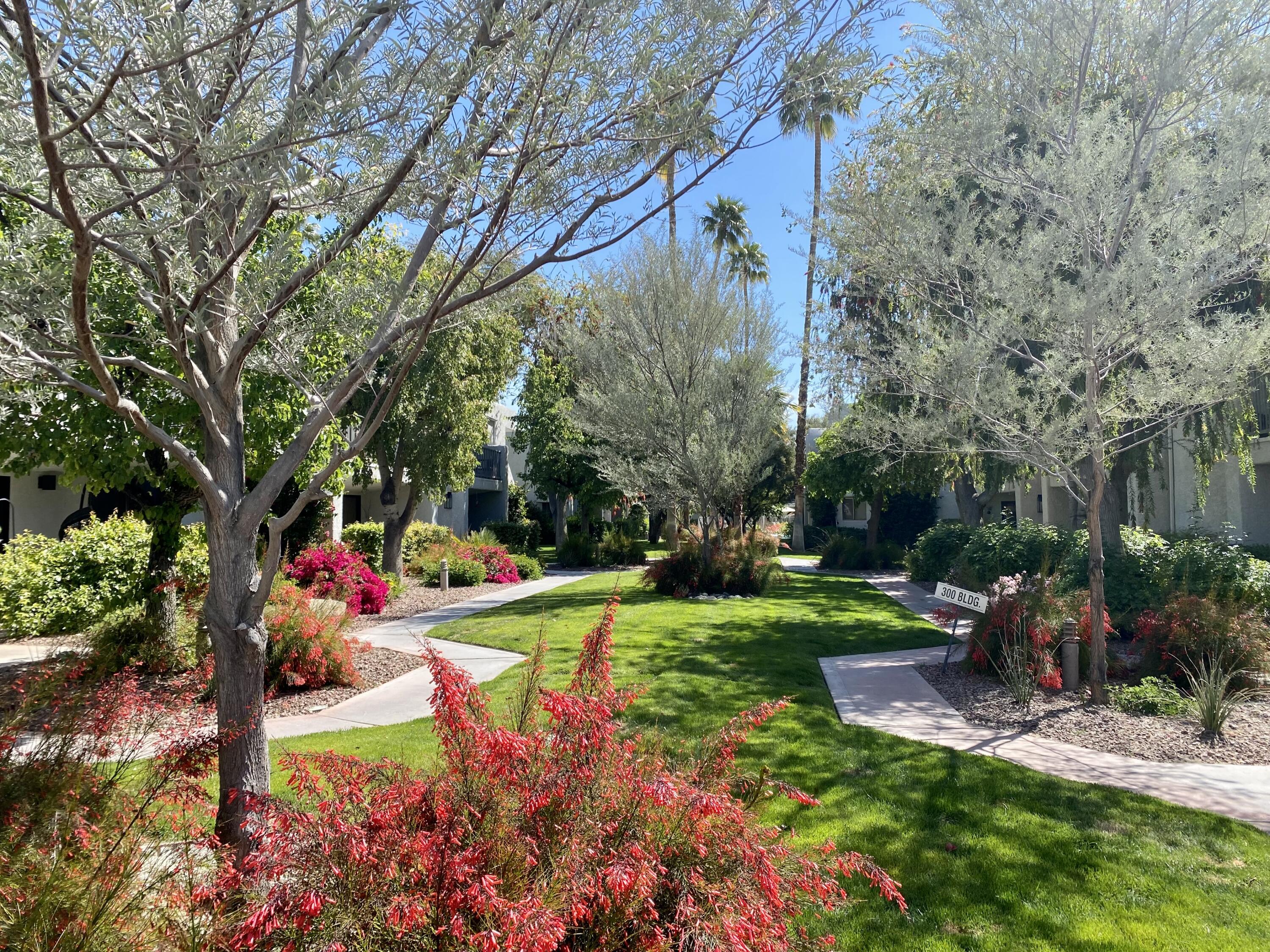 3155 Ramon Road, Unit 309 Palm Springs, CA 92264 - Photo 3 of 43 IMG_3576 (1)
