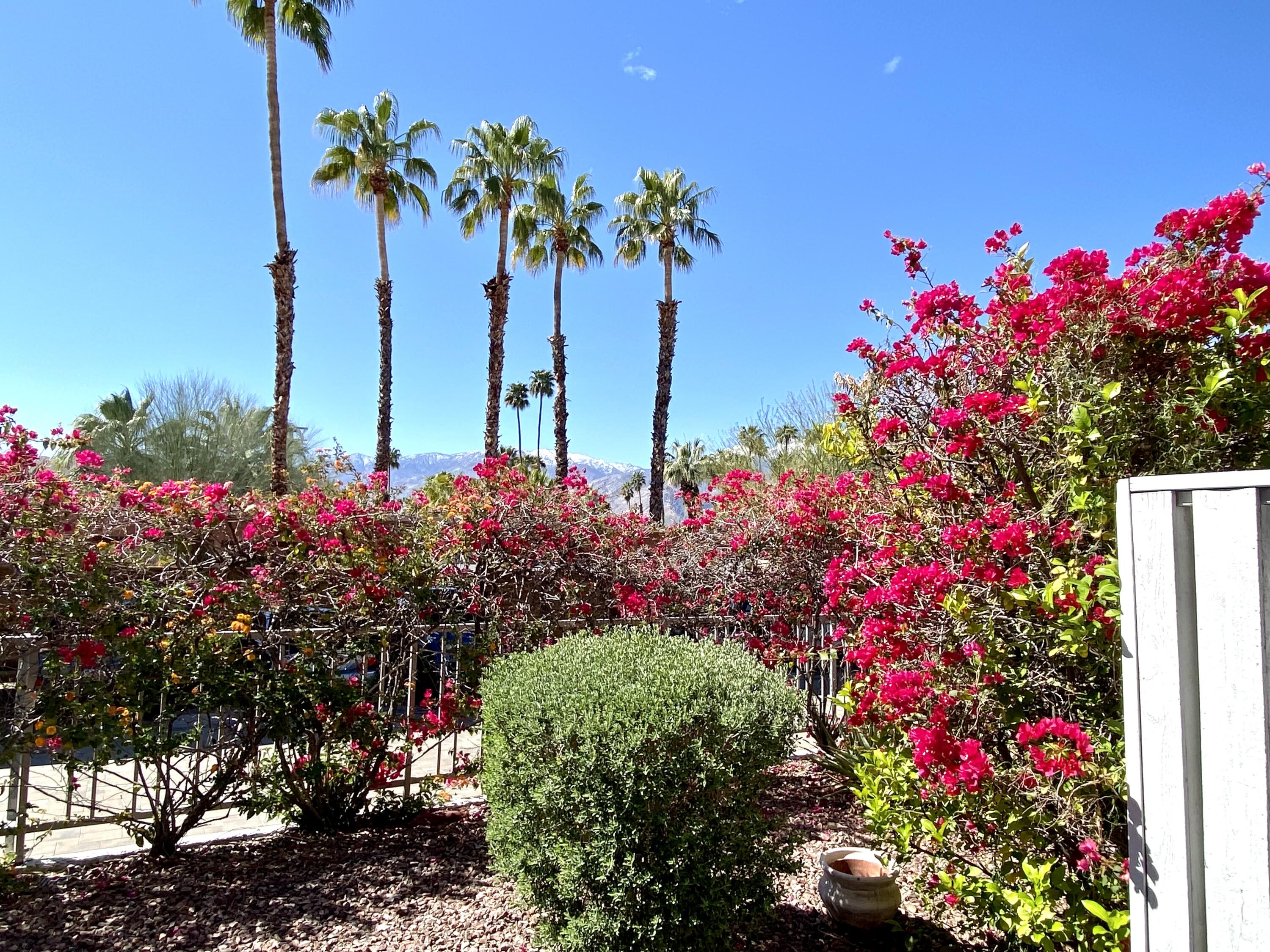 3155 Ramon Road, Unit 309 Palm Springs, CA 92264 - Photo 31 of 43 IMG_3554