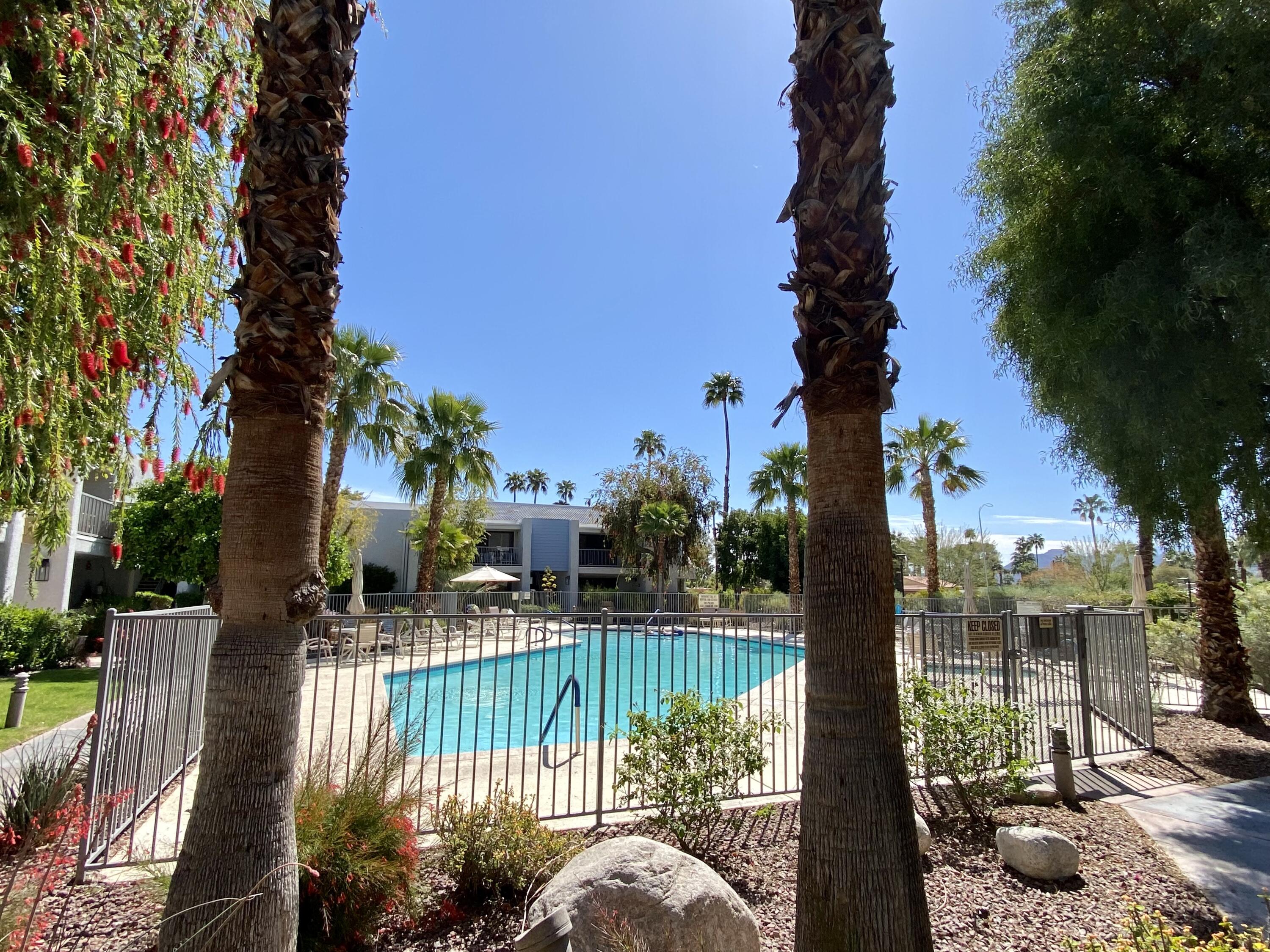 3155 Ramon Road, Unit 309 Palm Springs, CA 92264 - Photo 32 of 43 IMG_3580 (1)