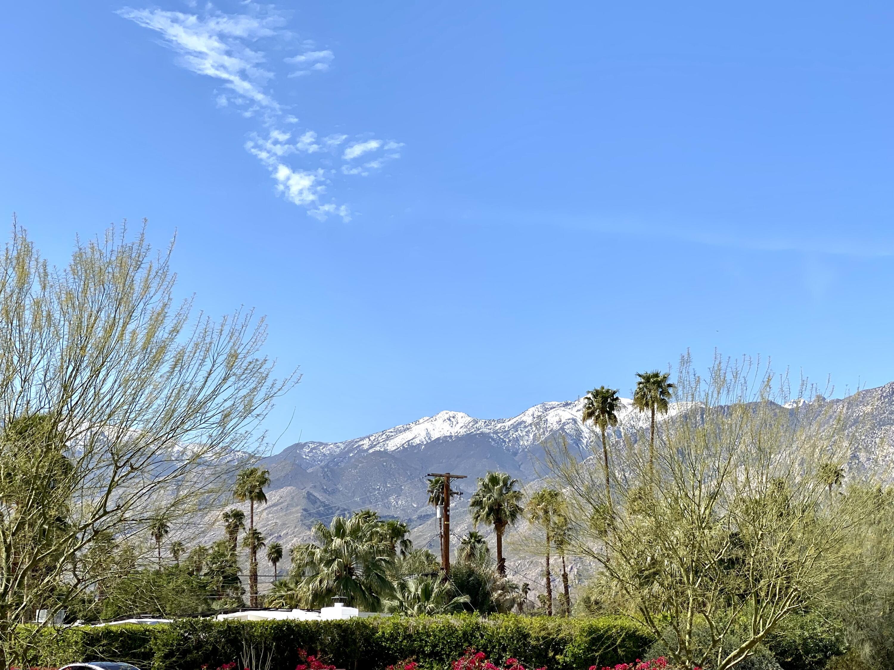 3155 Ramon Road, Unit 309 Palm Springs, CA 92264 - Photo 35 of 43 IMG_3586 (1)