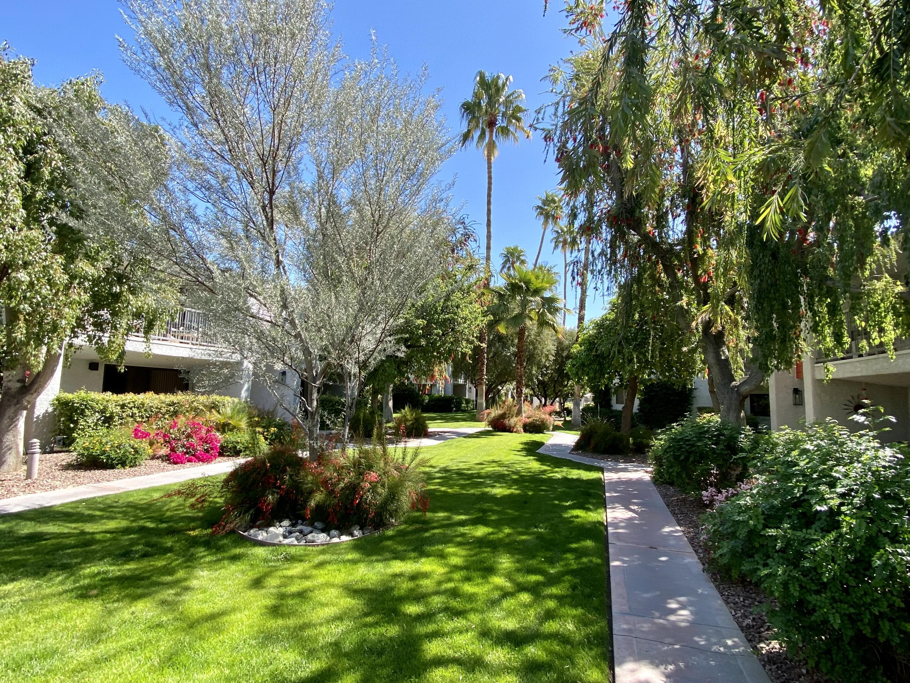 3155 Ramon Road, Unit 309 Palm Springs, CA 92264 - Photo 36 of 43 IMG_3579 (1)