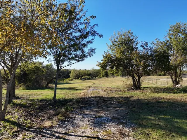 a view of yard with trees