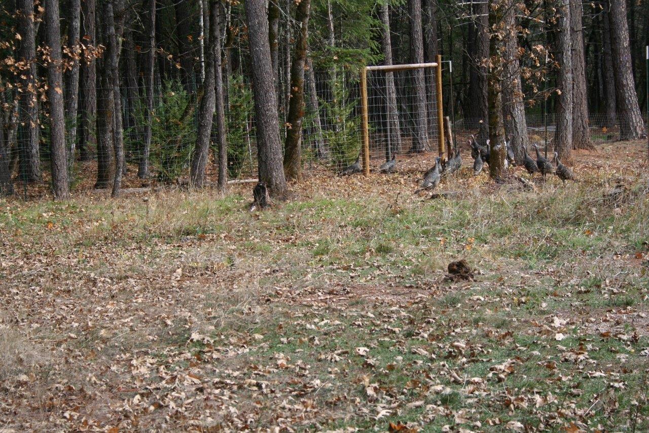 2000 Marcy Loop Road Grants Pass, OR 97527 - Photo 15 of 18 Additional Photo