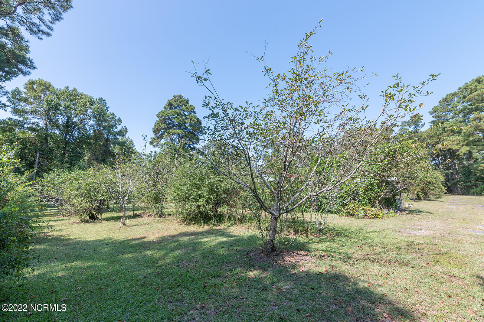 212 Arnolds Beach Road Roper, NC 27970 - Photo 33 of 35 212ArnoldsBeachRd010
