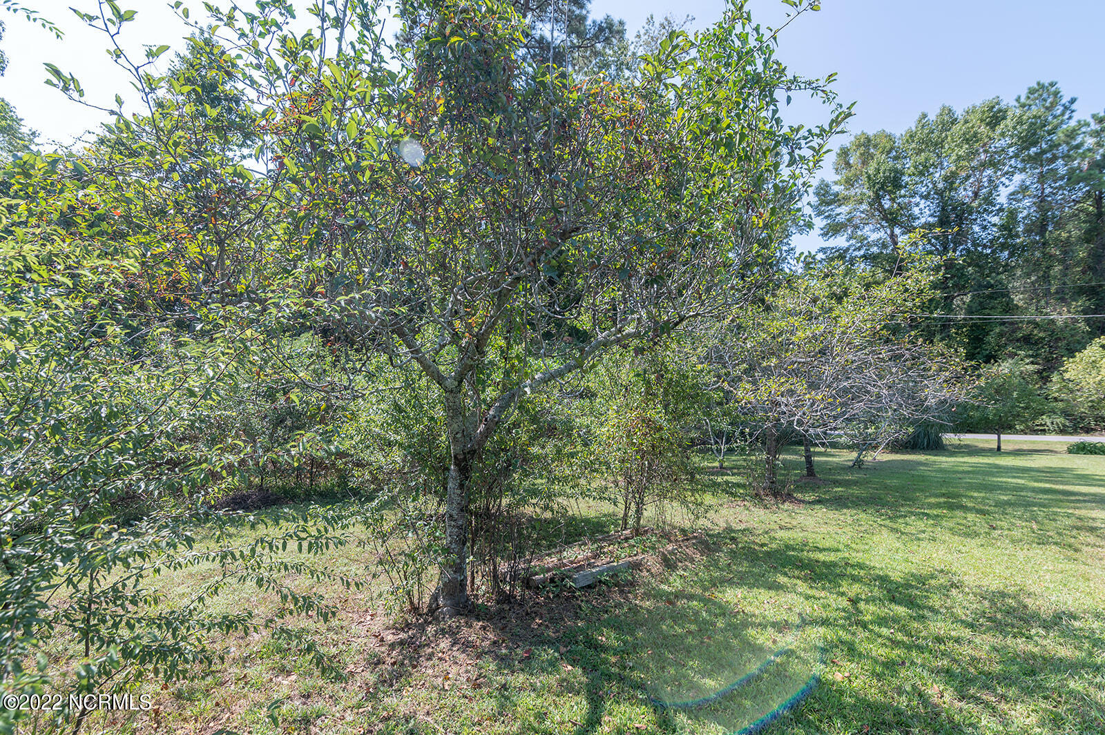 212 Arnolds Beach Road Roper, NC 27970 - Photo 34 of 35 212ArnoldsBeachRd011