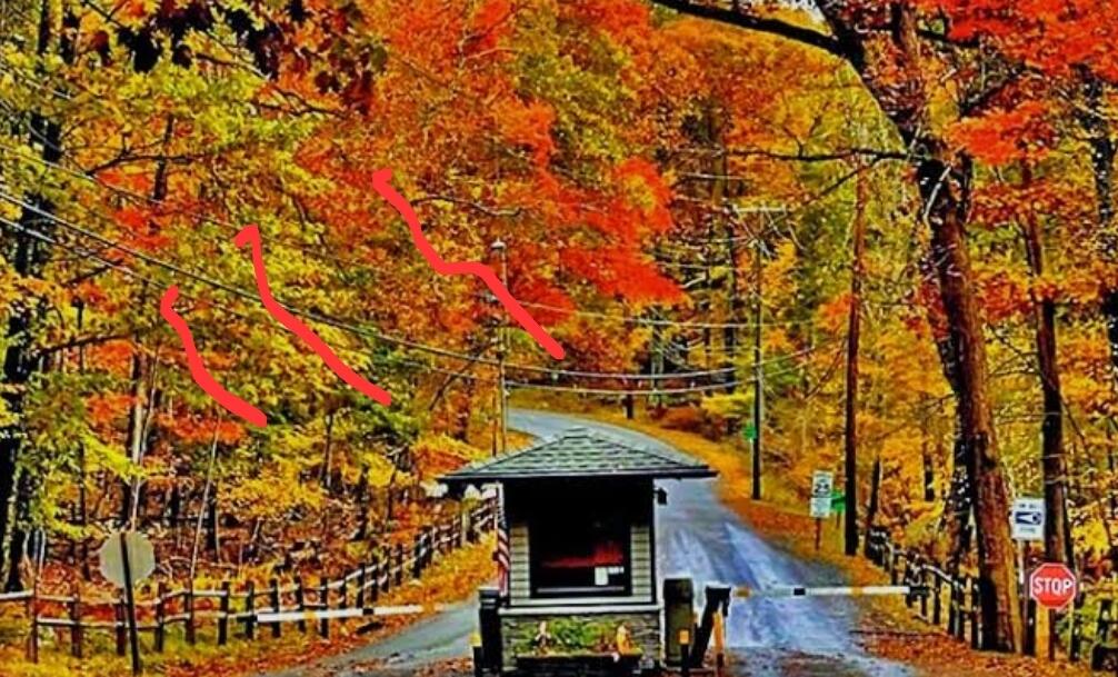 Mallard Bushkill, PA 18324 - Photo 9 of 9 Screenshot_20250707_130739_Google