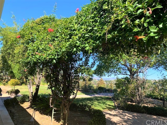 3930 Coral Place Calabasas, CA 91302 - Photo 48 of 50 a view of flowers in a garden