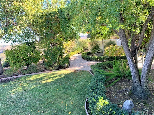 3930 Coral Place Calabasas, CA 91302 - Photo 49 of 50 a view of a yard with plants and large trees