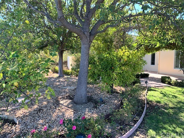 3930 Coral Place Calabasas, CA 91302 - Photo 50 of 50 a backyard of a house with lots of green space and fountain