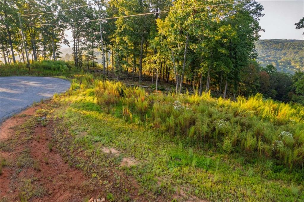 290 Anglers Ridge Road Talking Rock, GA 30175 - Photo 11 of 29 a view of yard with green space