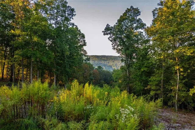 a view of a lush green outdoor space with a lake view