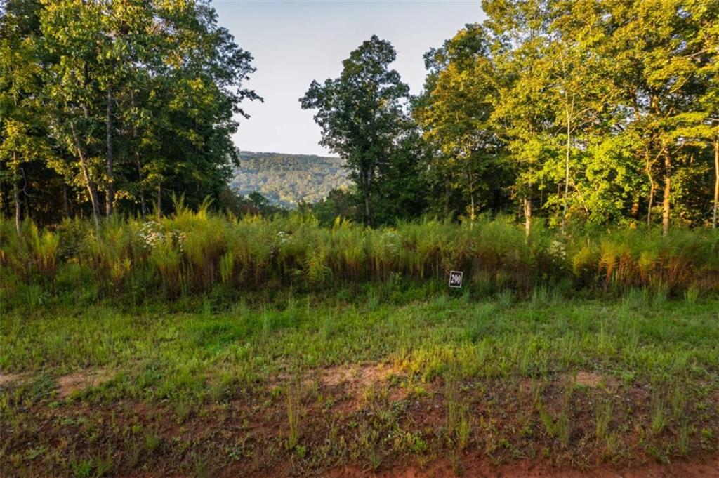 290 Anglers Ridge Road Talking Rock, GA 30175 - Photo 13 of 29 a view of a lush green outdoor space with a lake view