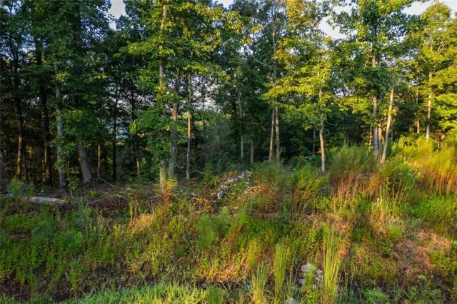 a view of outdoor space and trees